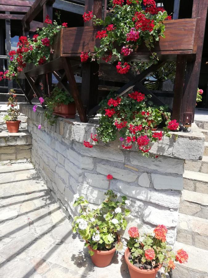 Trifon Zarezan Family Hotel Glavatartsi Exterior photo